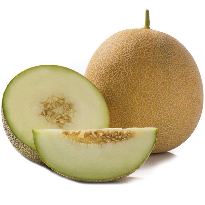 Gediz Melon Uprawiany W Polsce Yuksel Tohum (1)