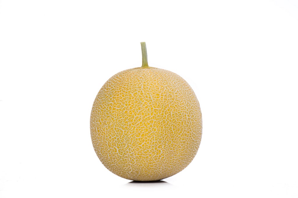 Gediz Melon Uprawiany W Polsce Yuksel Tohum (7)