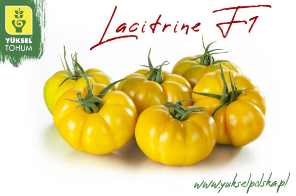 Lacitrine