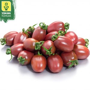 pomidor cherry