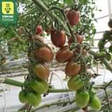 Brak dostępnego opisu zdjęcia.