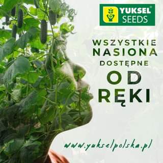 Może być zdjęciem przedstawiającym na świeżym powietrzu i tekst „YUKSEL SEEDS WSZYSTKIE NASIONA DOSTĘPNE OD RĘKI www.yukselpolska.pl”