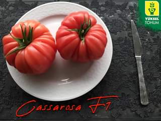 Mo偶e by膰 zdj臋ciem przedstawiaj膮cym pomidor i w budynku