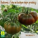 Może być zdjęciem przedstawiającym ‎pomidor i ‎tekst „‎Będziemy z Tobą na każdym etapie produkcji YÜKSEL TOHUM ن BUCANERO FI‎”‎‎